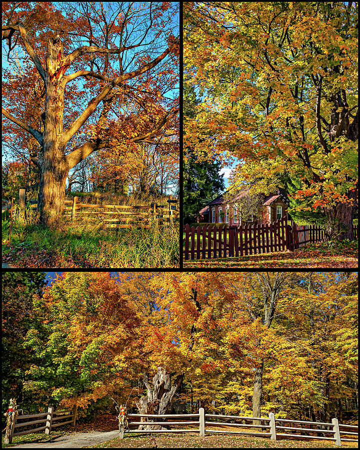 Country Fences Collage Photograph by Steve Harrington