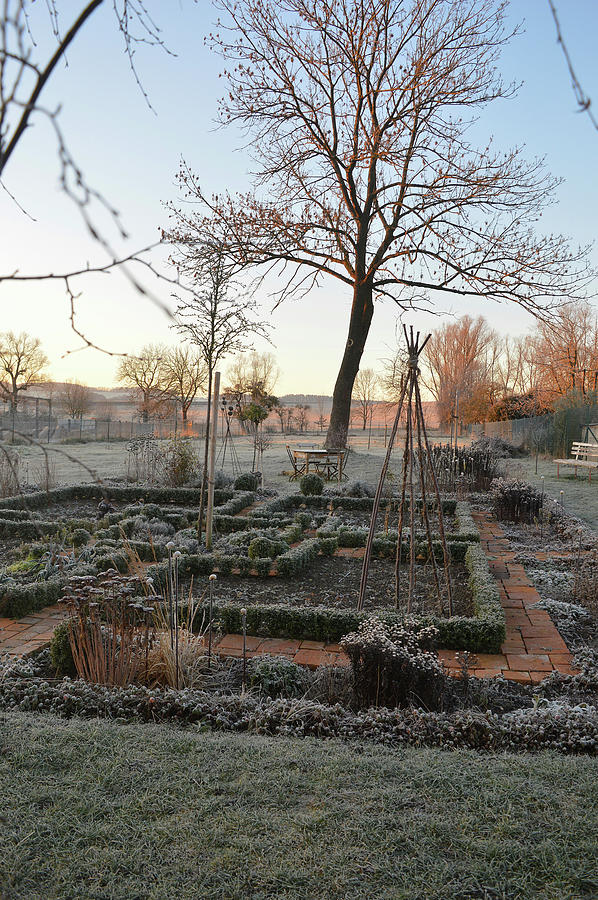 Country Garden With Box Hedges In Winter Photograph by Christin By Hof 9