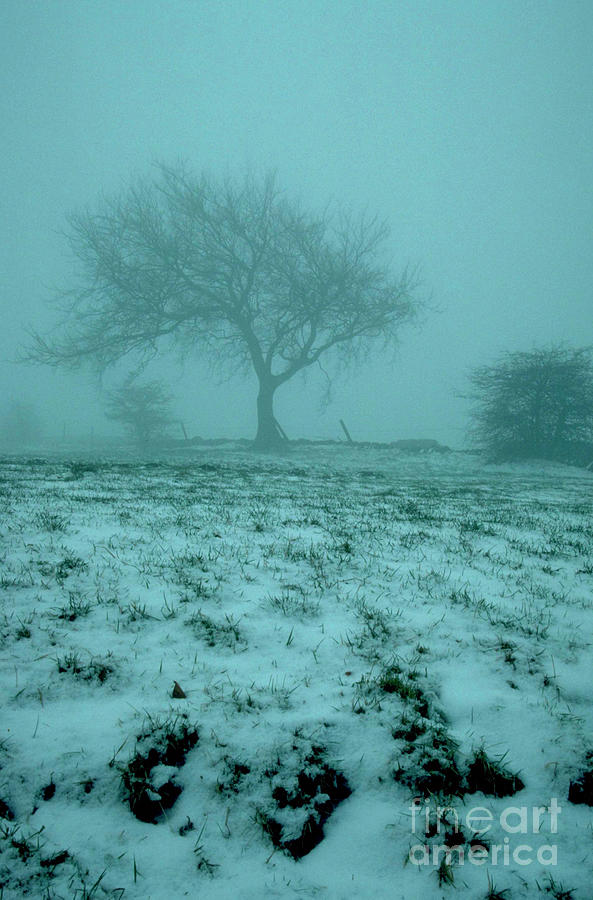Country In Winter. Photograph by Stephen Owens/science Photo Library