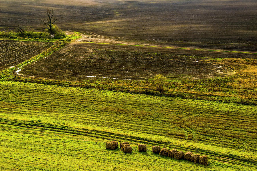 Landscape Photograph - Country Landscape With Straw Bales by Anita Vincze