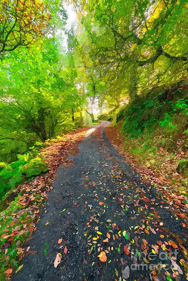 Fall Photograph - Country Lane Autumn  by Adrian Evans
