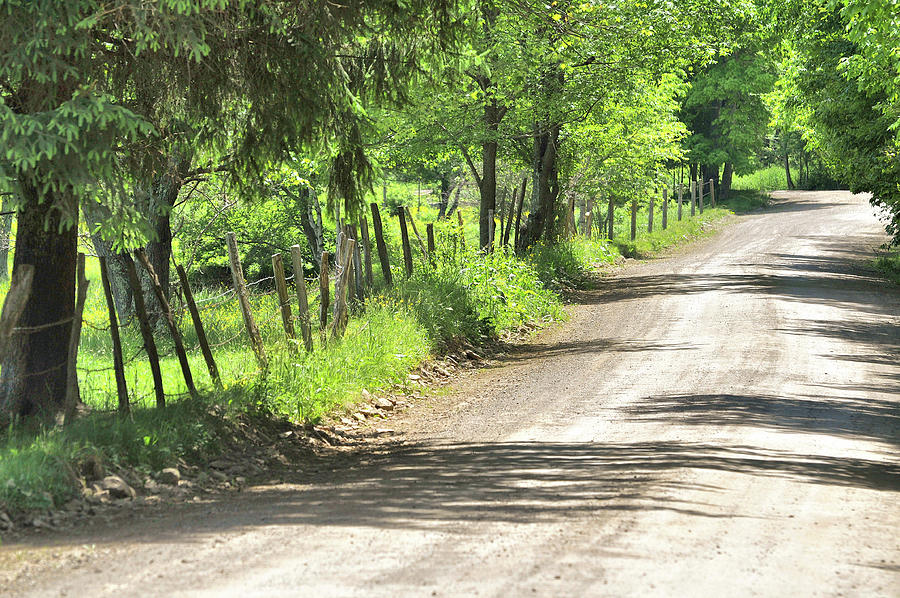 Country Lane Photograph by JAMART Photography