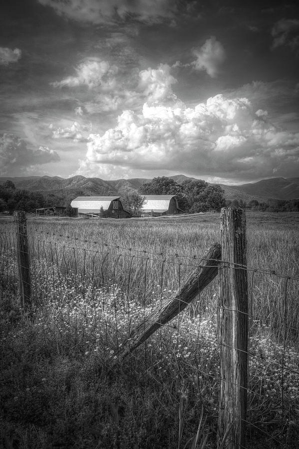 Country Life in Black and White  Photograph by Debra and Dave Vanderlaan