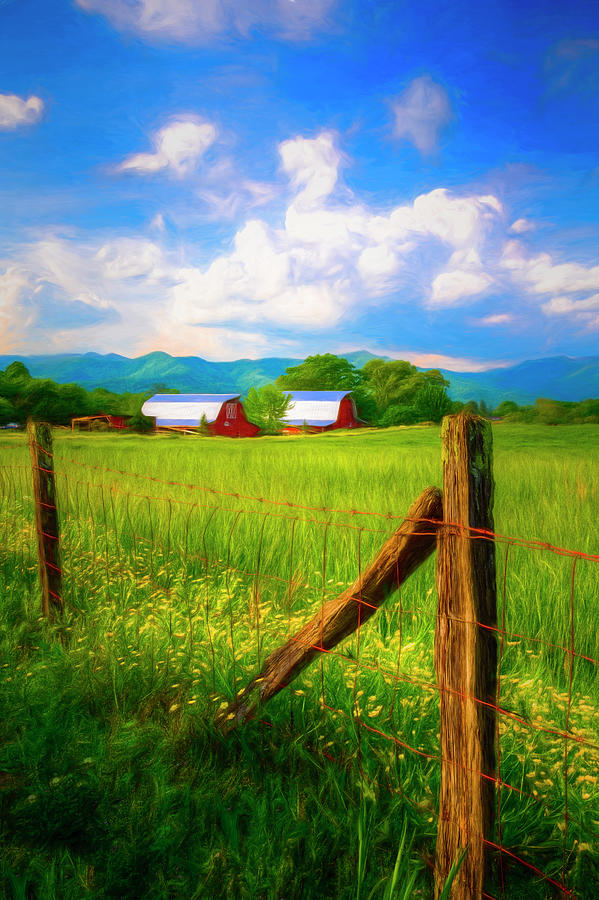 Country Life Painting Photograph by Debra and Dave Vanderlaan