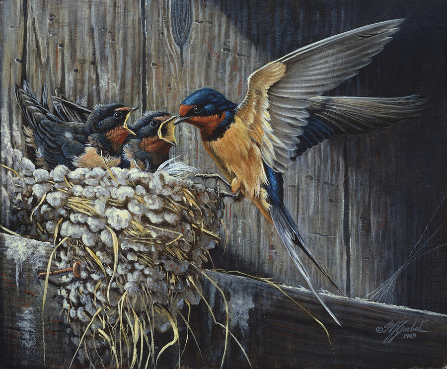 Bird Painting - Country Living  - Barn Swallows by Wilhelm Goebel