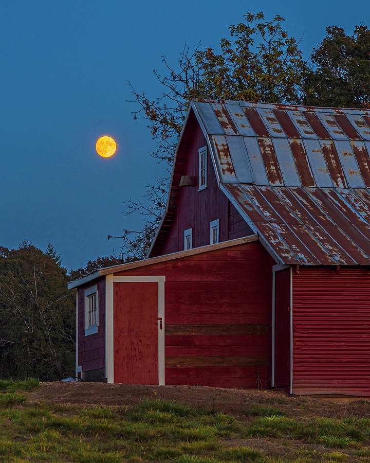 Country moon. Photograph by Ulrich Burkhalter