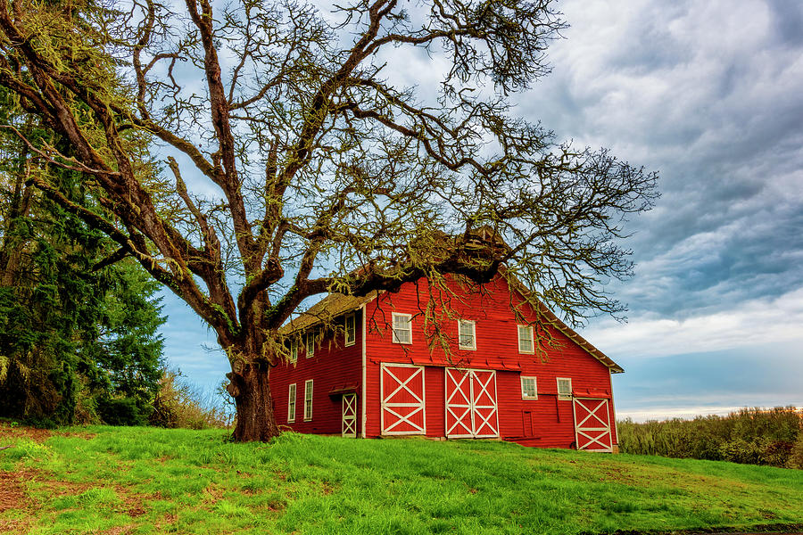 Country Morning by Dee Browning Country Morning by Dee Browning