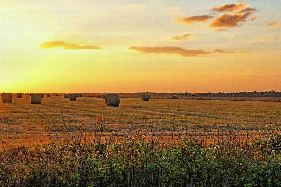 Country Pasture At Sunset Photograph by HH Photography of Florida