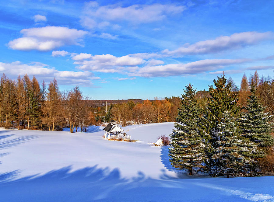 Country Retreat In Winter - Paint Photograph