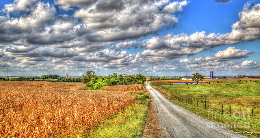 Country Road 2 Illinois Cornfield Art Photograph by Reid Callaway