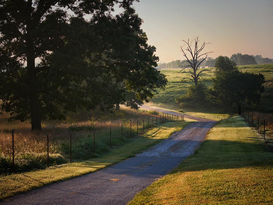 Country Road Photograph by Buck Buchanan