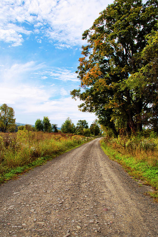 Country Road Photograph by Christina Rollo