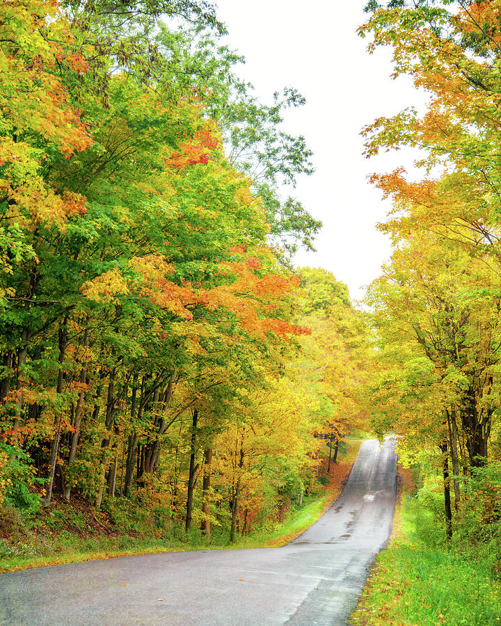  Country Road in Autumn  Photograph by Brooke T Ryan