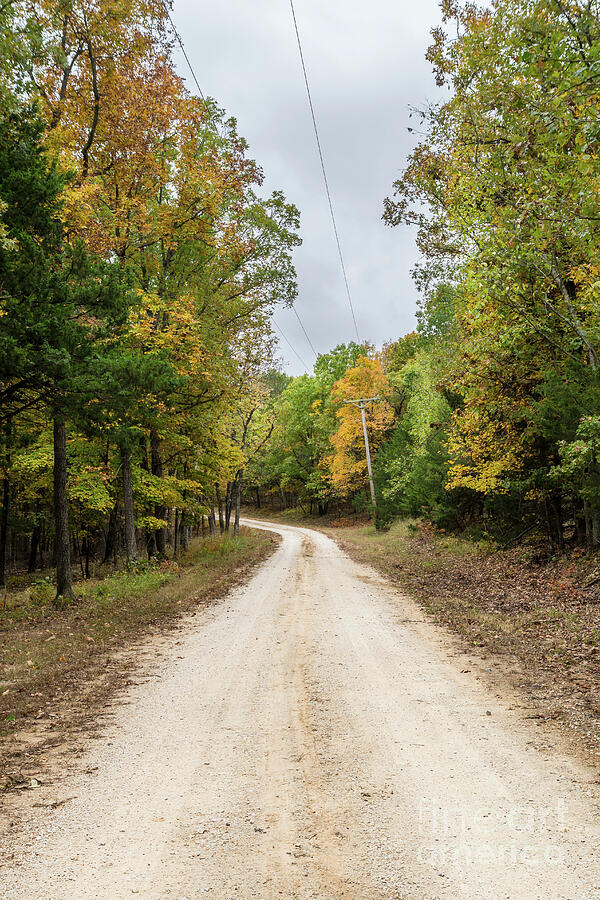 Country Road In Autumn Photograph by Jennifer White