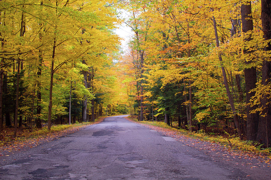 Country Road In Autumn Photograph by Ken Figurski