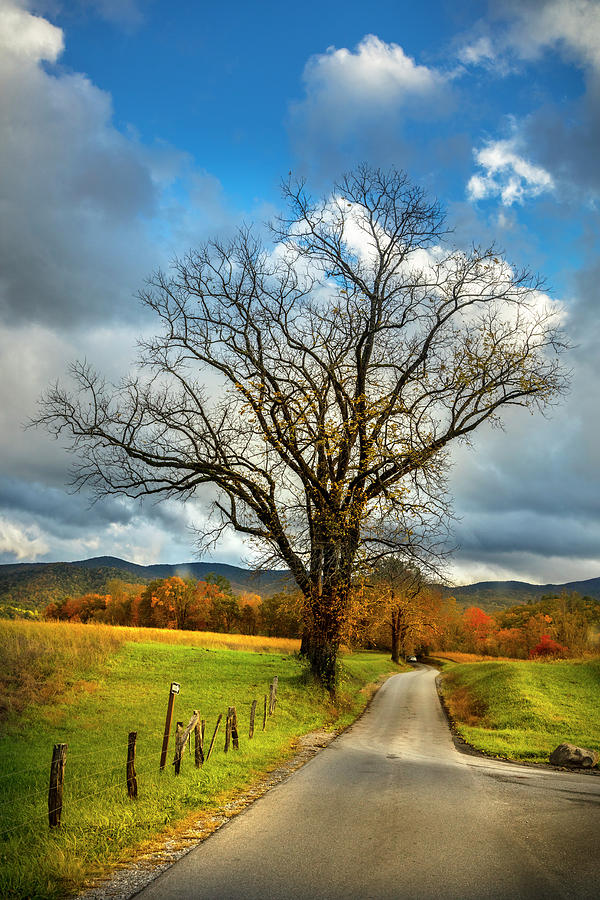 Country Road into Autumn Photograph by Debra and Dave Vanderlaan