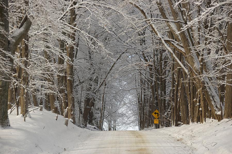 Road Chill Photograph by Marty Klar