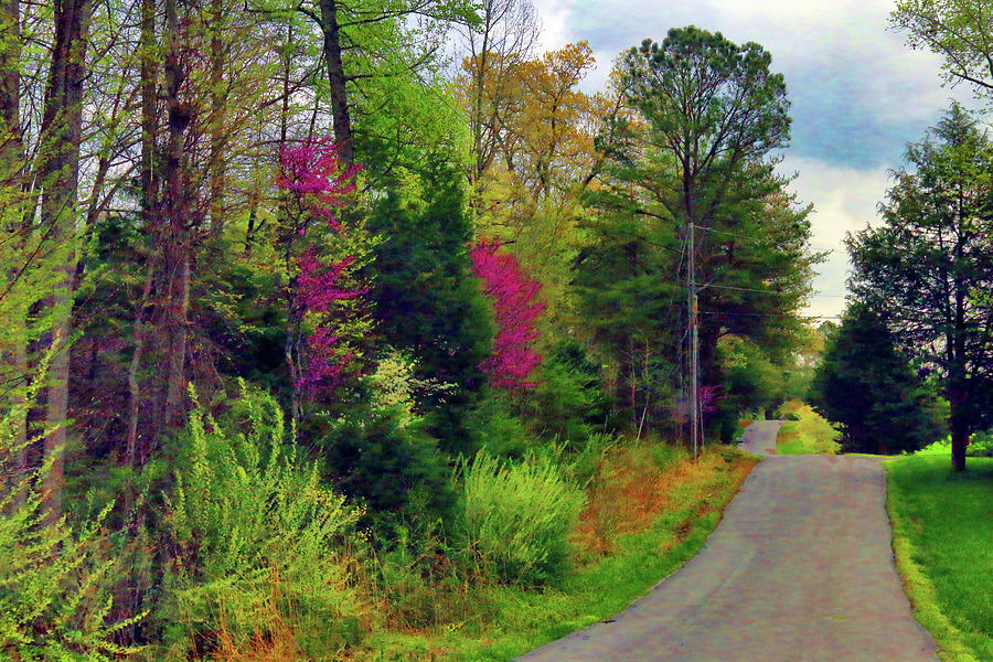 Country Road Take Me Home Photograph by Ola Allen
