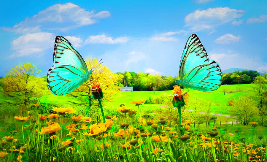 Country Roads in Butterflies Painting Photograph by Debra and Dave Vanderlaan