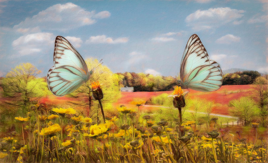 Country Roads in Butterflies Watercolor Painting Photograph by Debra and Dave Vanderlaan