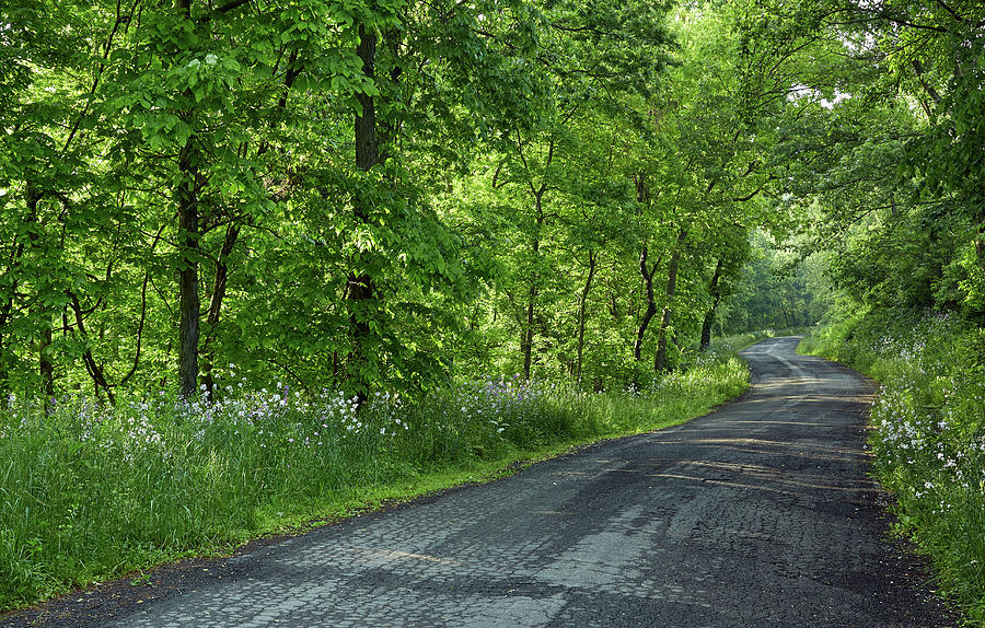 Country Roads - Morning Rides - Spring Beauty Photograph by Brian Simpson