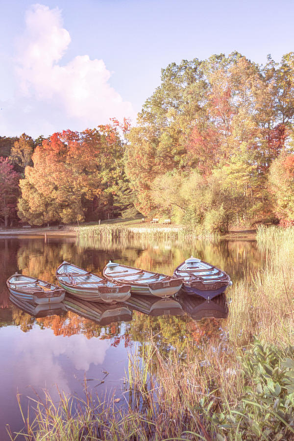 Country Rowboats Photograph by Debra and Dave Vanderlaan