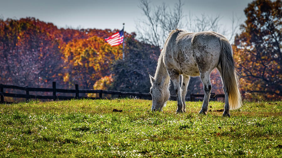 Country Scene Photograph by Bill Chizek