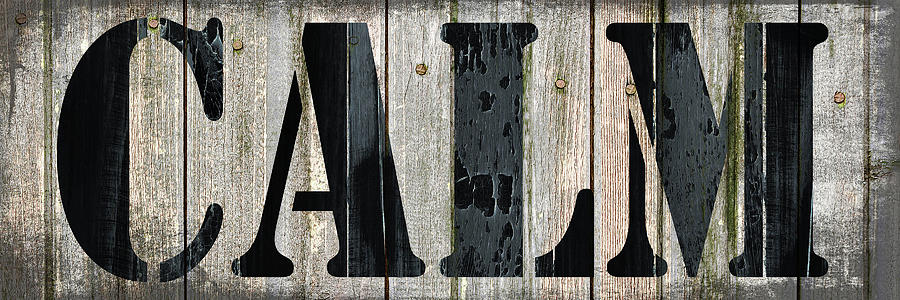 Inspirational Mixed Media - Country Sign 5 by Lightboxjournal