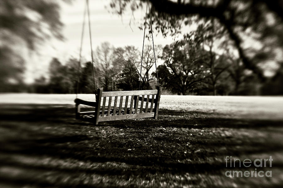Nature Photograph - Country Swing by Scott Pellegrin
