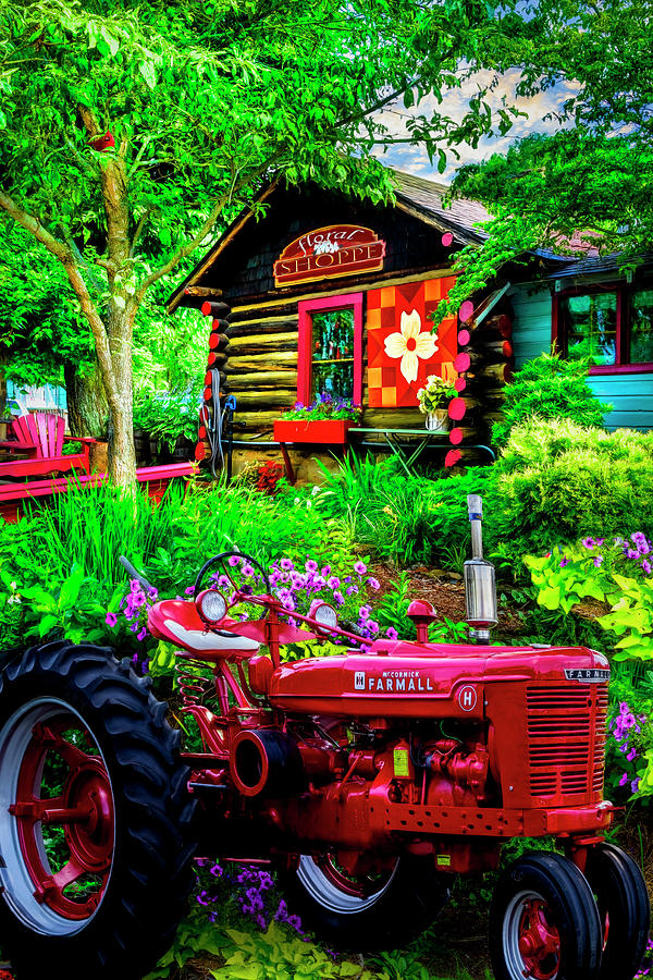 Country Town Charm Photograph by Debra and Dave Vanderlaan