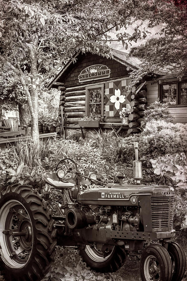 Country Town Charm in Vintage Sepia Photograph by Debra and Dave Vanderlaan