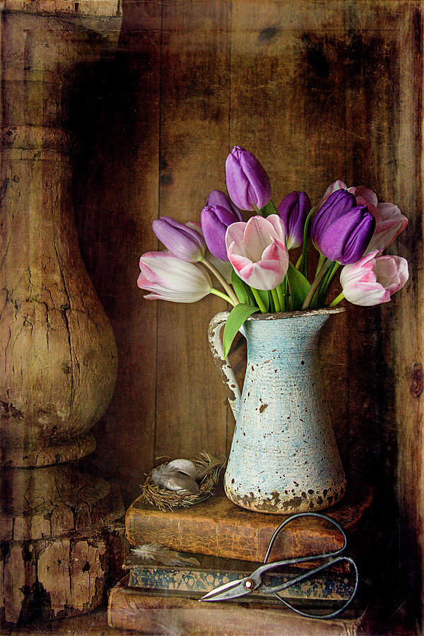 Country Tulip Photograph by Cindi Ressler