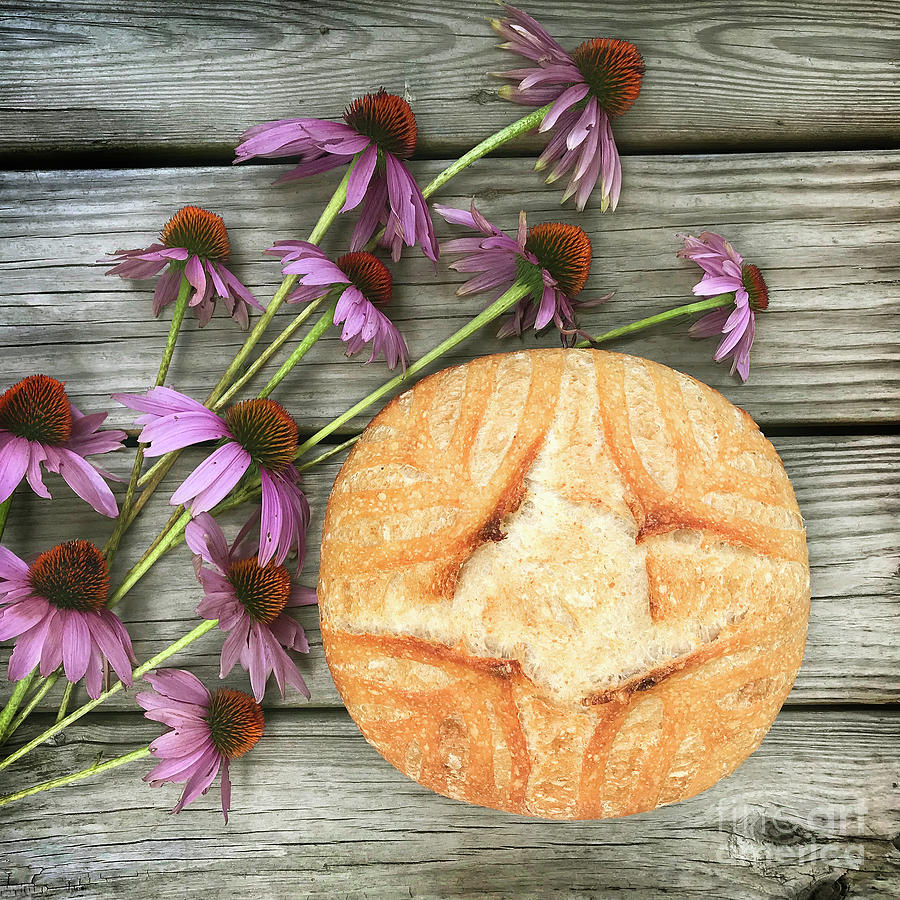 Country White Sourdough with Coneflowers Photograph by Amy E Fraser
