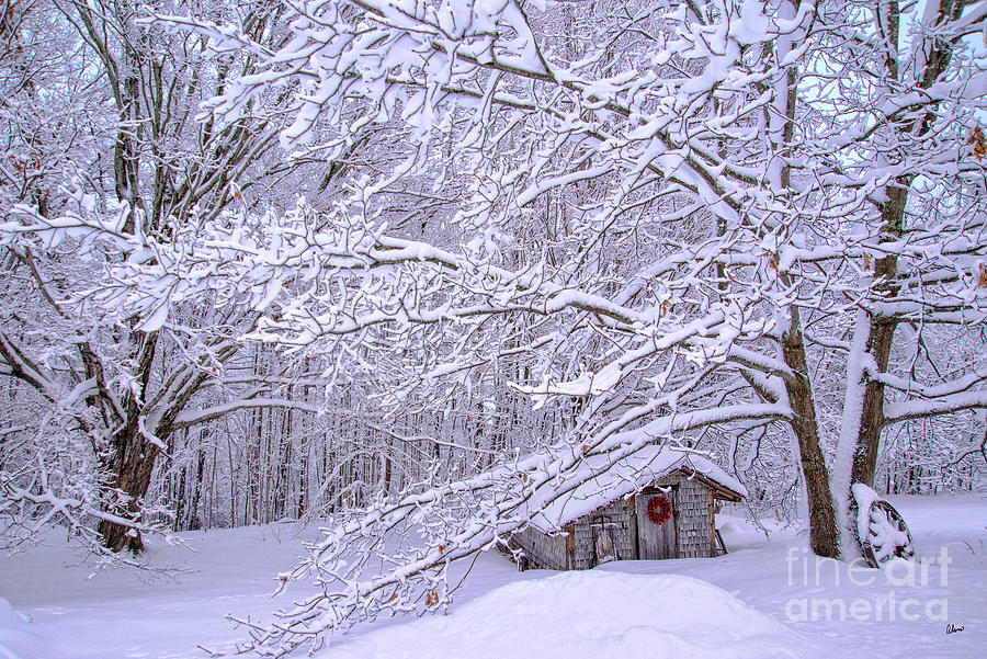 Country Winter Photograph by Alana Ranney