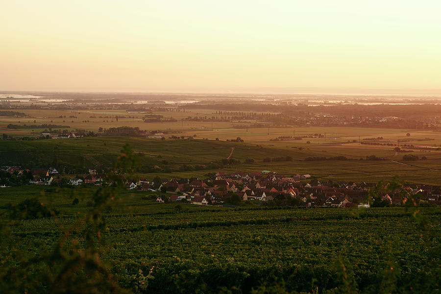 Countryside In Wine-growing Region Around Colmar In Alsace france Photograph by Oliver Brachat