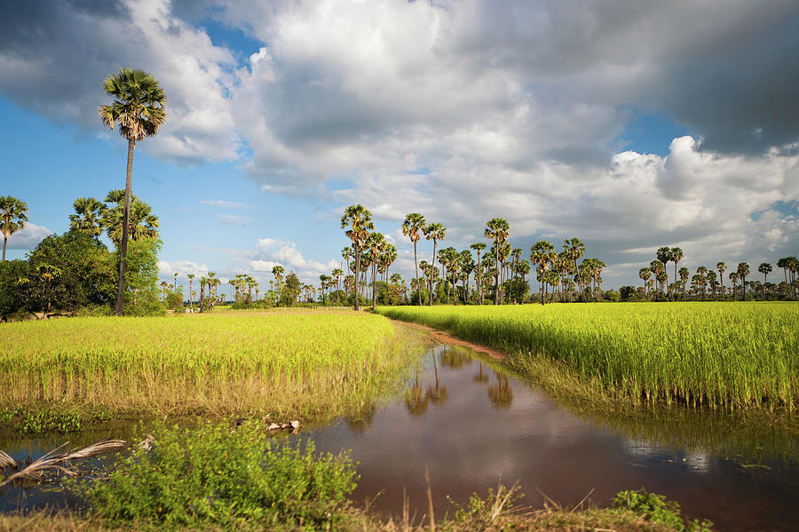 Countryside Outside Of The Angkor Photograph by Matthew Micah Wright