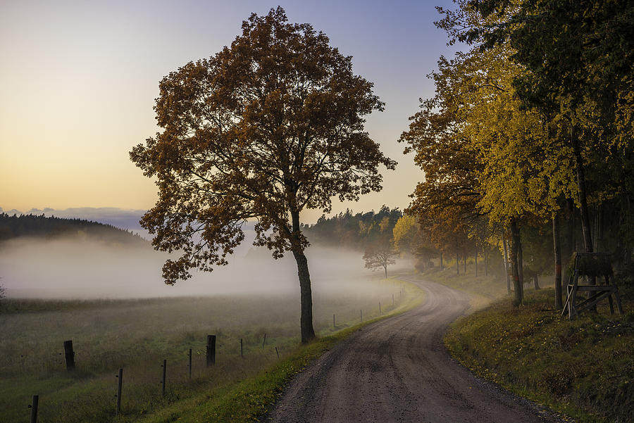 Countryside Vibes Photograph by Christian Lindsten