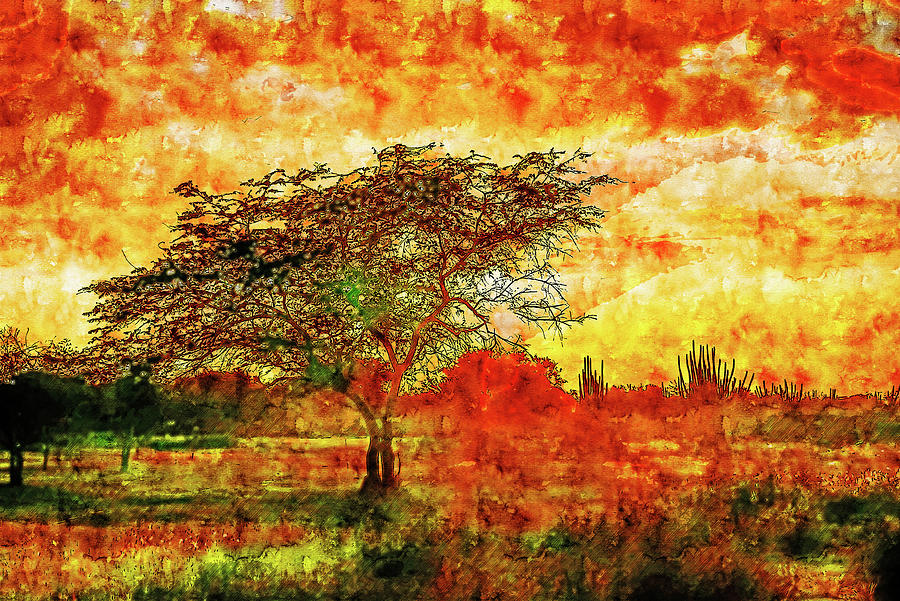 Countryside watercolor drawing The savanna tree Drawing by Hasan