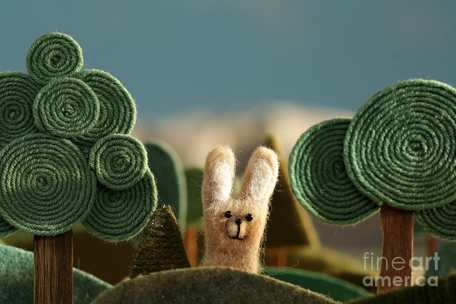 Country Photograph - Countryside With Hare - Stylized Nature by Kreus Country Photograph - Countryside With Hare - Stylized Nature by Kreus