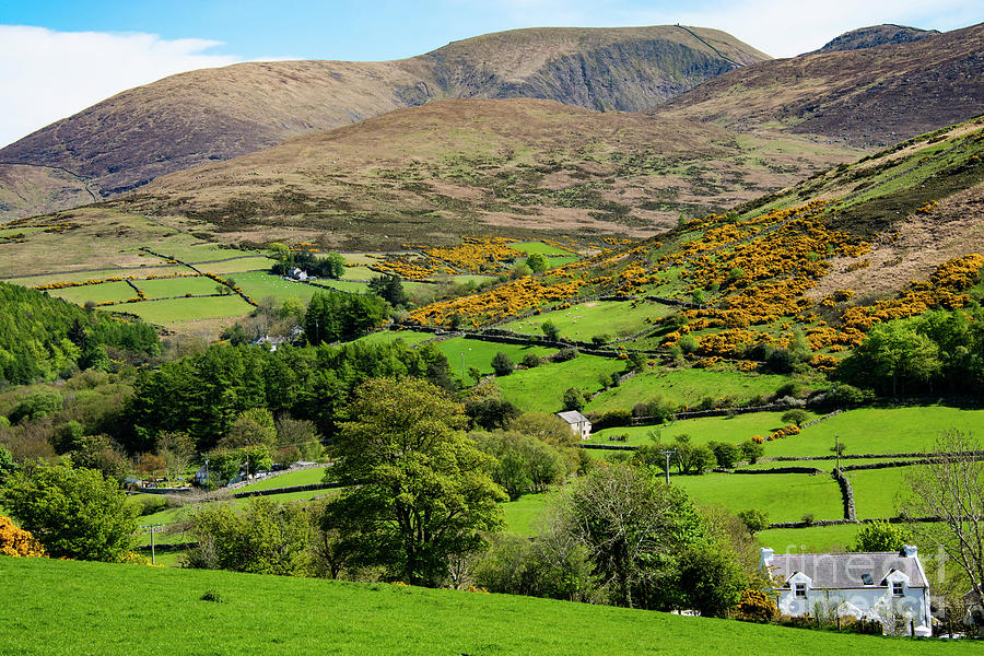 County Down Landscape Photograph by Bob Phillips