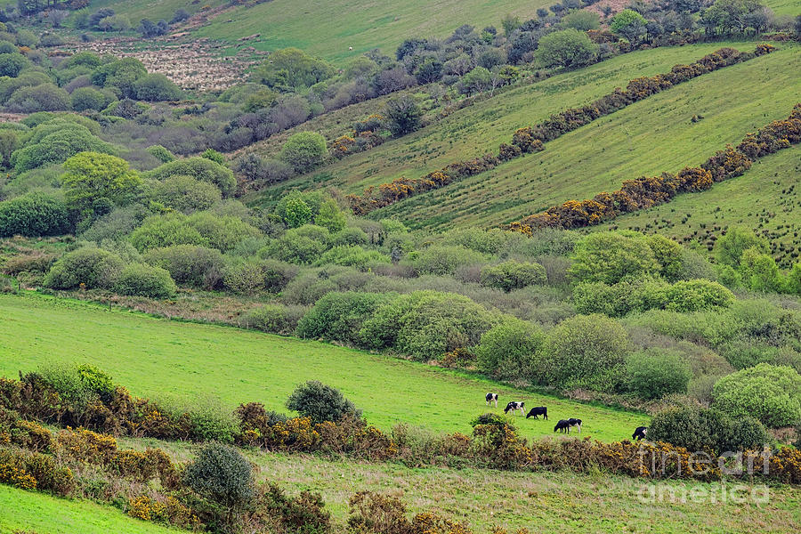 County Kerry Landscape Photograph by Olivier Le Queinec