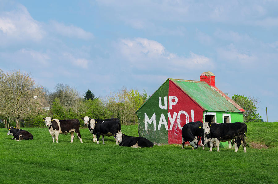 County Mayo Ireland - Up Mayo Photograph by Bill Cannon