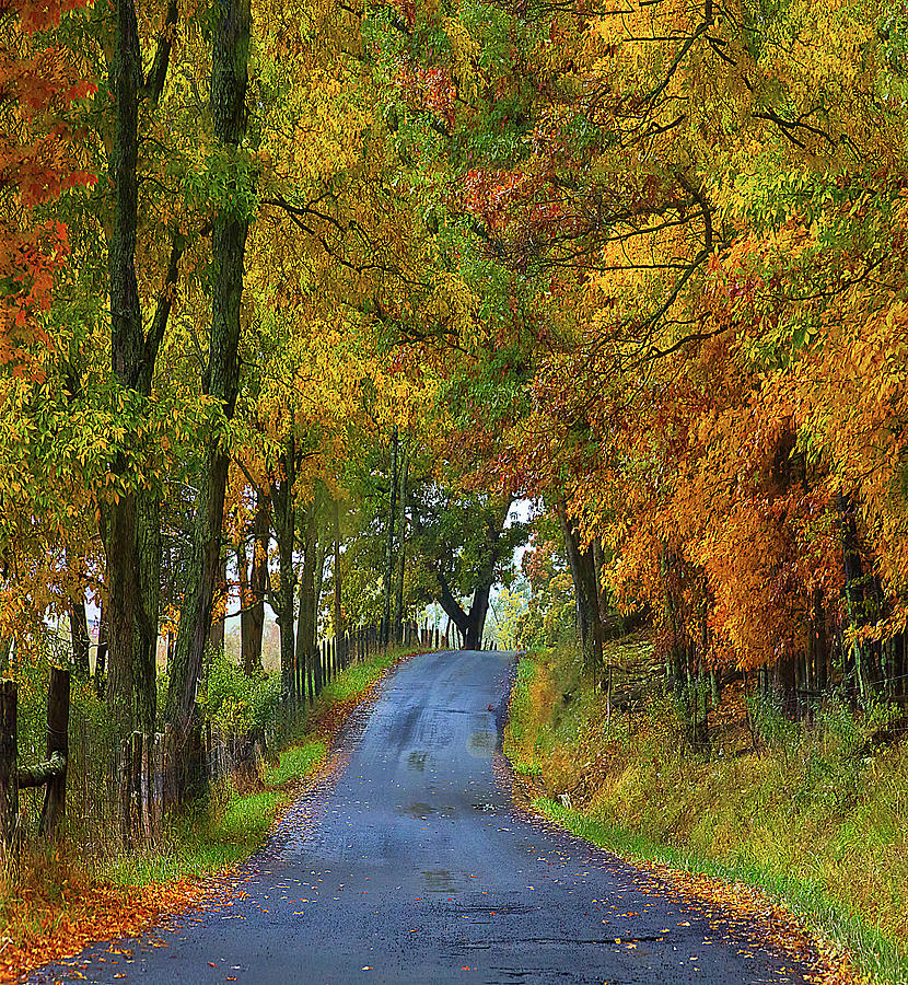 County Road In Autumn Photograph by Melinda Moore
