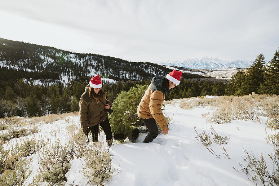 Couple Drags Christmas Tree Up A Hill In The Tetons Of Wyoming