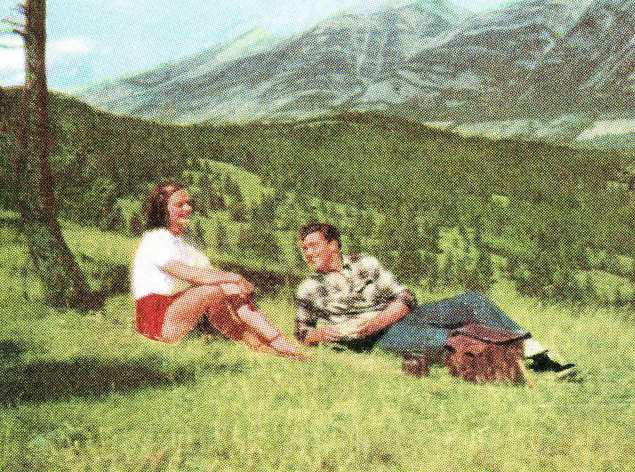 Summer Drawing - Couple Having a Picnic on a Hillside by CSA Images