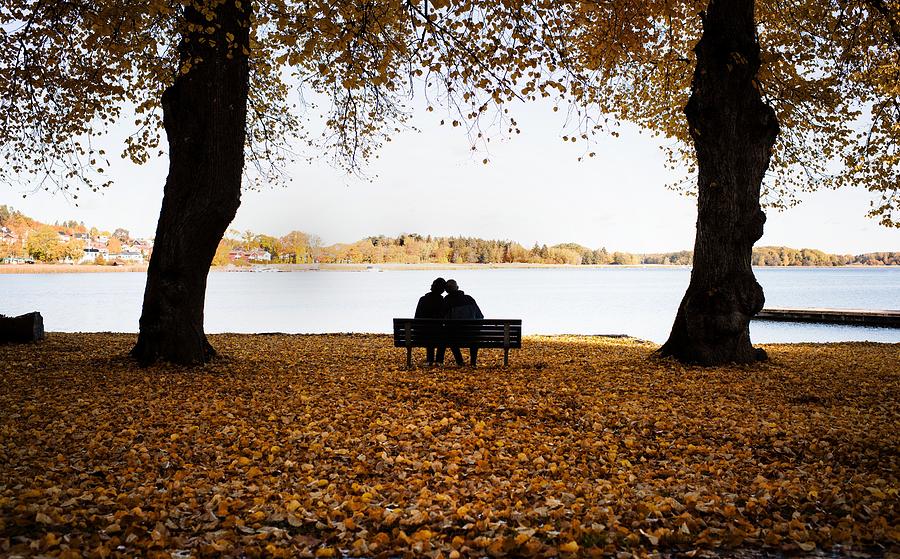 Nature Photograph - Couple Sitting On A Bench Surrounded By Fall Leaves Enjoying Scenery by Cavan Images
