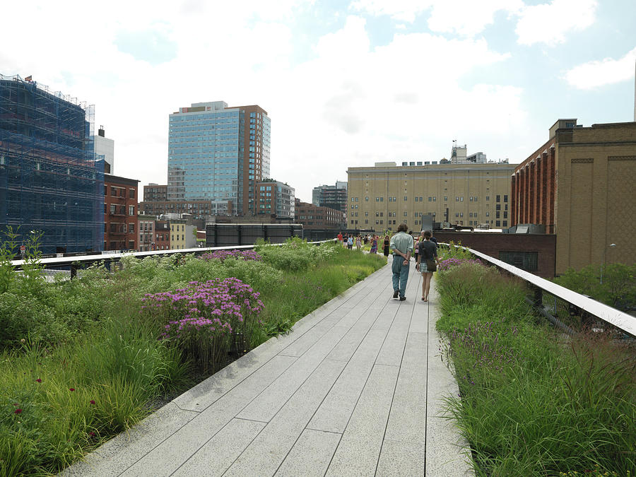 Couple Walking In A Park, High Line Photograph by Panoramic Images