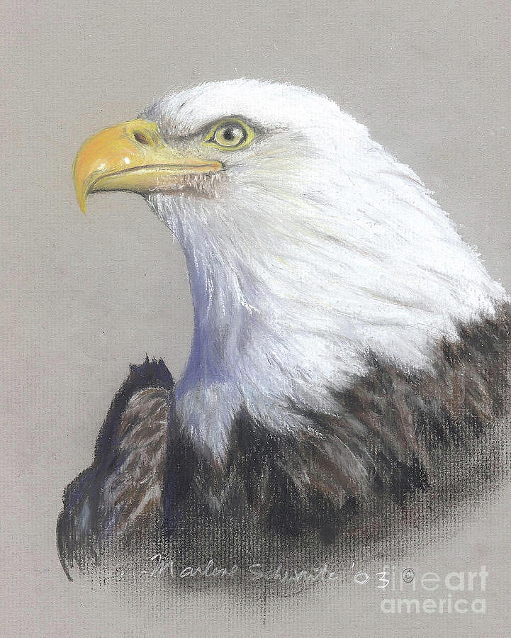 Eagle Painting - Courage by Marlene Schwartz Massey