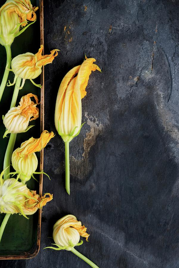 Courgette Flowers seen From Above Photograph by Komar