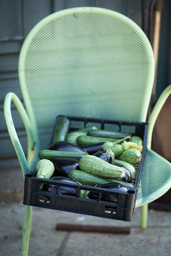 Courgettes And Aubergines In A Crate On A Garden Chair Photograph by Eising Studio